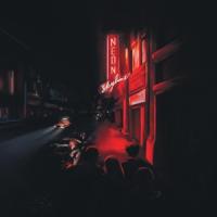 Andy Shauf - The Neon Skyline (LP)
