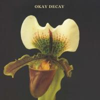 Canshaker Pi - Okay Decay (LP)