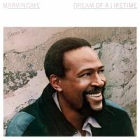 Gaye, Marvin - Dream Of A Lifetime -Clrd- (LP)