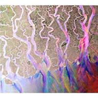 Alt-J - An Awesome Wave (CD+DVD) (cover)