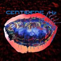 Animal Collective - Centipede Hz (cover)