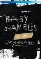 Babyshambles - Up The Shambles (cover)