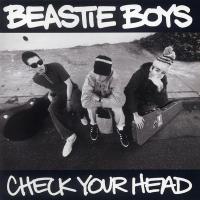 Beastie Boys - Check Your Head (LP) (cover)