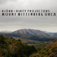 Dirty Projectors & Bjork - Mount Wittenberg Orca (LP) (cover)