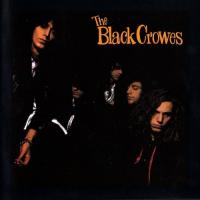 Black Crowes - Shake Your Money Maker (LP)
