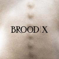Boss Hog - Brood X (LP)