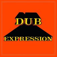Brown, Errol - Dub Expression (Orange Vinyl) (LP)