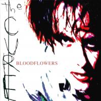 Cure - Bloodflowers (cover)