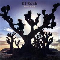 DJ Koze - Knock Knock (2LP+7")