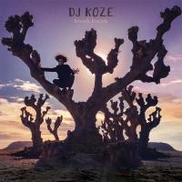 DJ Koze - Knock Knock (BOX) (3LP+7"+10"+CD)