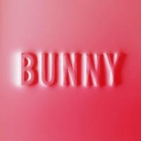 Dear, Matthew - Bunny (LP)