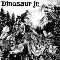 Dinosaur Jr - S_t (cover)