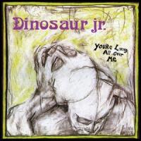Dinosaur Jr - You_'re Living All Over Me (cover)