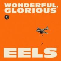Eels - Wonderful, Glorious (2x10") (cover)