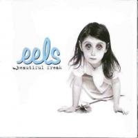 Eels - Beautiful Freak (cover)