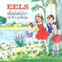 Eels - Daisies Of The Galaxy (cover)