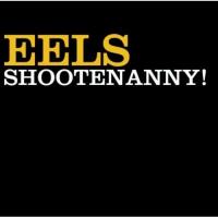 Eels - Shootenanny (cover)