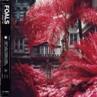 Foals - Everything Not Saved Will Be Lost (Part 1) (2LP)