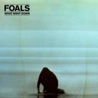 Foals - What Went Down (BOX)