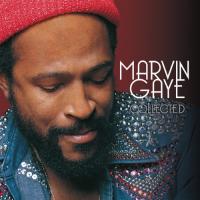 Gaye, Marvin - Collected (2LP)