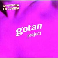 Gotan Project - La Revancha En Cumbia (cover)