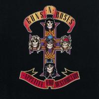 Guns 'n' Roses - Appetite For Destruction (LP)