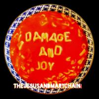 Jesus & Mary Chain - Damage and Joy (LP)