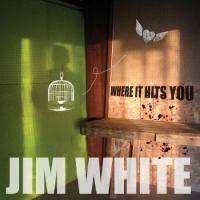 White, Jim - Where It Hits You (cover)