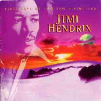Hendrix, Jimi - First Rays Of The New Rising Sun (LP) (cover)
