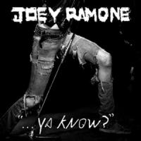 Joey Ramone - Ya Know (cover)