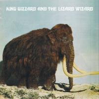 King Gizzard & the Lizard Wizard - Polygondwanaland