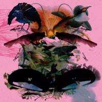Vynehall, Leon - Rojus / Designed To Dance (LP) (cover)