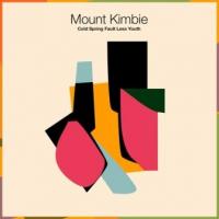 Mount Kimbie - Cold Spring Fault Less Youth (LP) (cover)