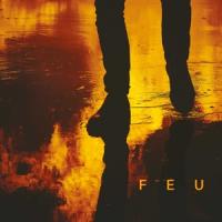 Nekfeu - Feu (cover)