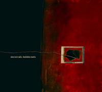 Nine Inch Nails - Hesitation Marks (LP+CD) (cover)