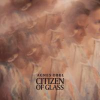 Obel, Agnes - Citizen Of Glass (LP)
