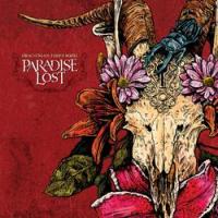 Paradise Lost - Draconian Times MMXI (LP) (cover)