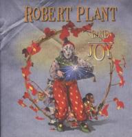 Plant, Robert - Band of Joy (2LP)