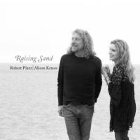 Plant, Robert /Allison Krauss - Raising Sand (LP) (cover)