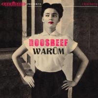 Roosbeef - Warum (10") (cover)