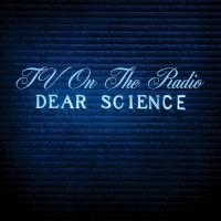 TV On The Radio - Dear Science (LP)