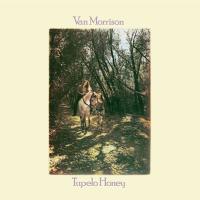 Morrison, Van - Tupelo Honey (cover)