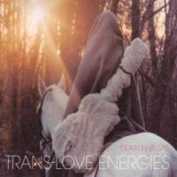 Death In Vegas - Trans-love Energies (2CD) (cover)