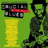 V/A - Crucial Slide Guitar Blue (W/Johnny Winter/Bonnie Raitt/Sonny Landreth/A.O.)