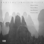 Carter, Daniel/Stelios Mihas/Irma Nejando/Federico Ughi - Radical Invisibility (LP)