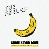 Feelies - Some Kinda Love:  (2LP)