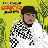 Walshy Fire Presents - Riddimentary Selection (LP)