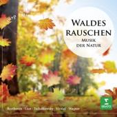 V/a - Waldesrauschen - Forest Murmurs CD