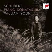 Youn, William - Schubert: Piano Sonatas Iii (3CD)