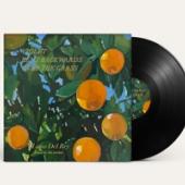 Del Rey, Lana - Violet Bent Backwards Over The Grass (LP)
